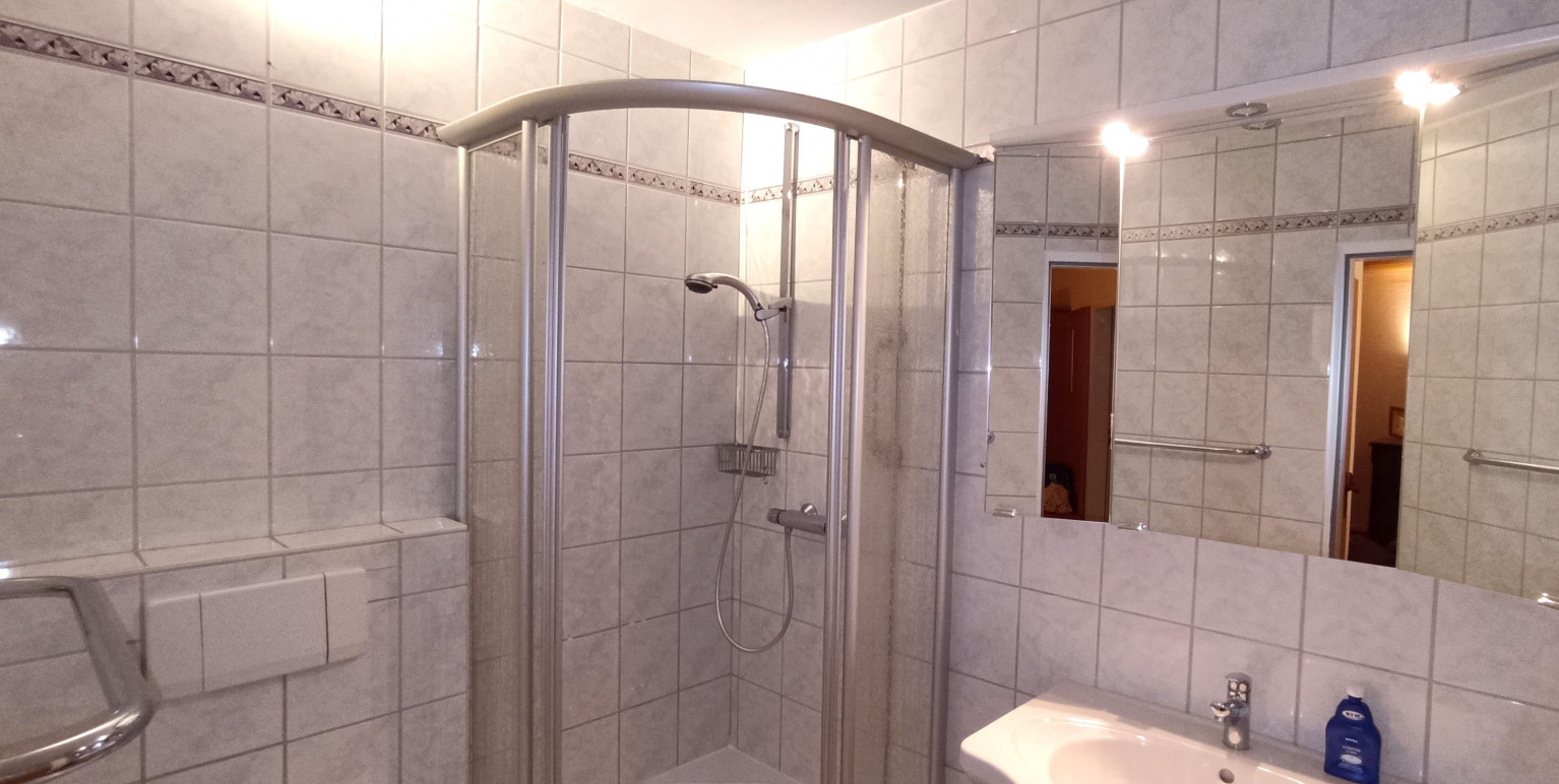 Duschbad mit großer Duschkabine